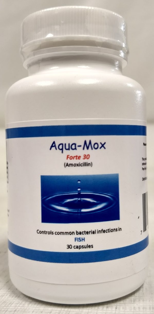 Fish Mox Forte 500mg - 30 Amoxicillin Capsules for Fish