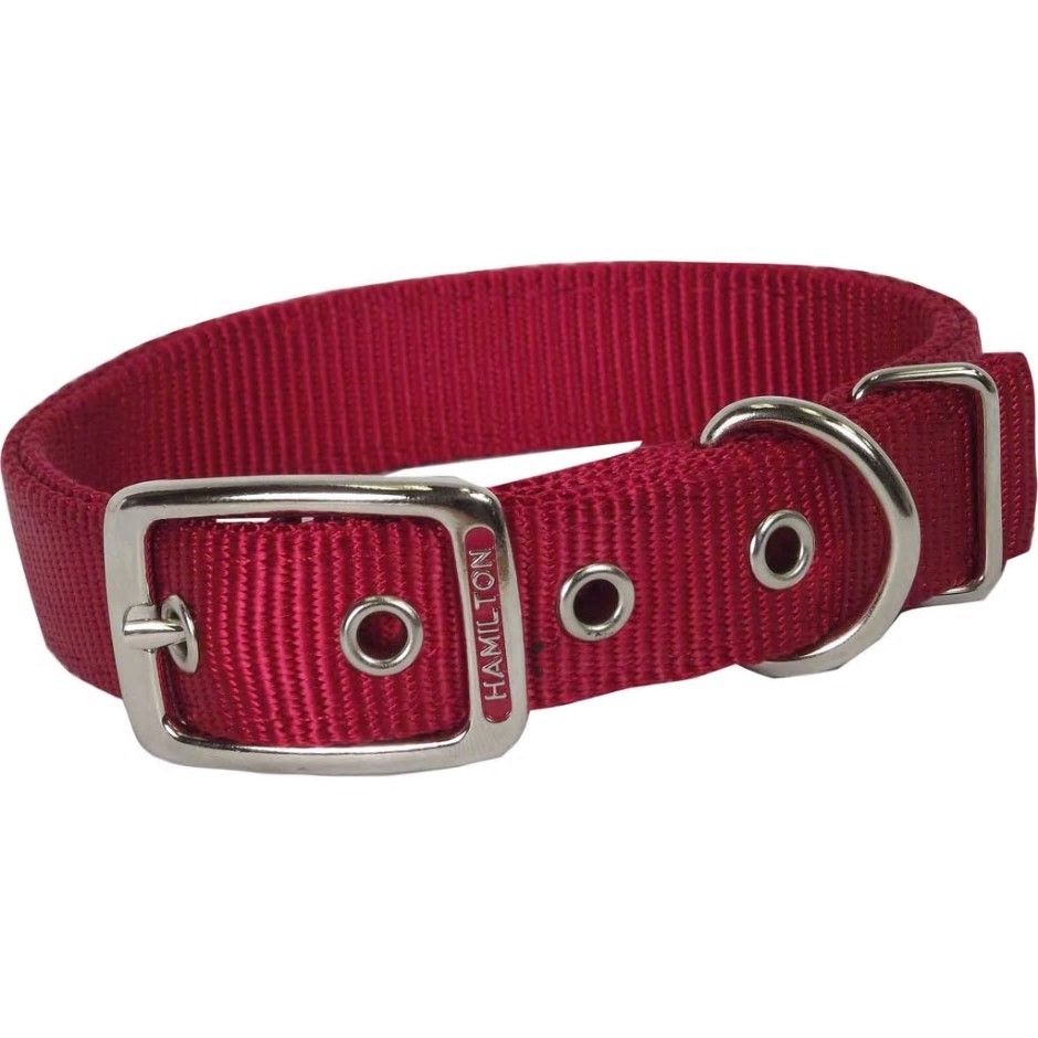 Adjustable Dog Collar 1