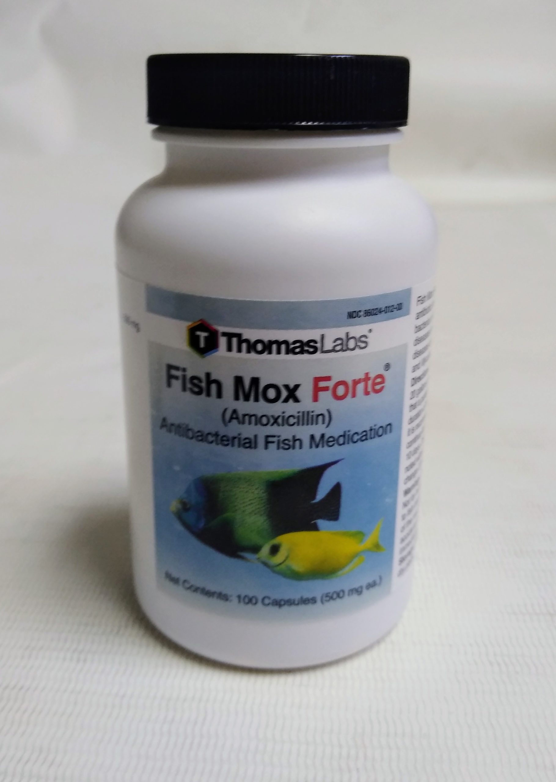 Fish Mox Forte Amoxicillin 500MG 100 CT Huber's Animal Health