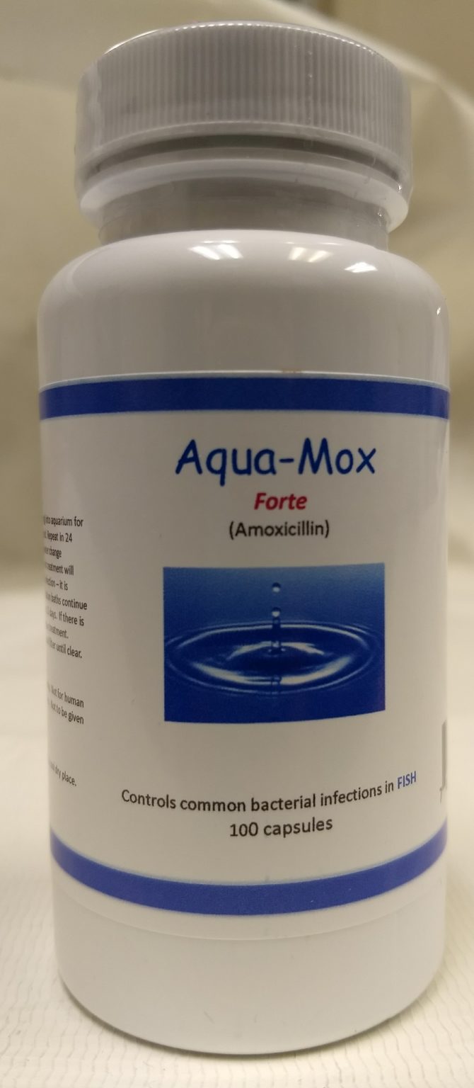 Amoxicillin- Fish Mox Forte 500mg, 100 ct. for Fish Health