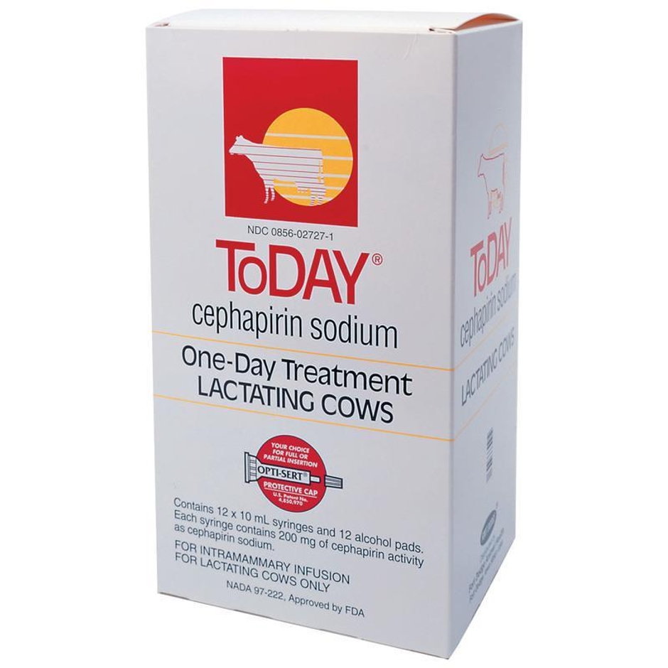 Today Mastitis Tubes 12 Count Dated 09/24