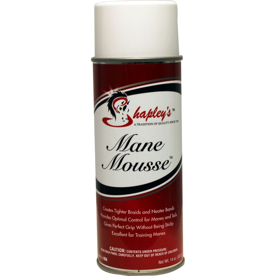 Mane Mousse 14 OZ