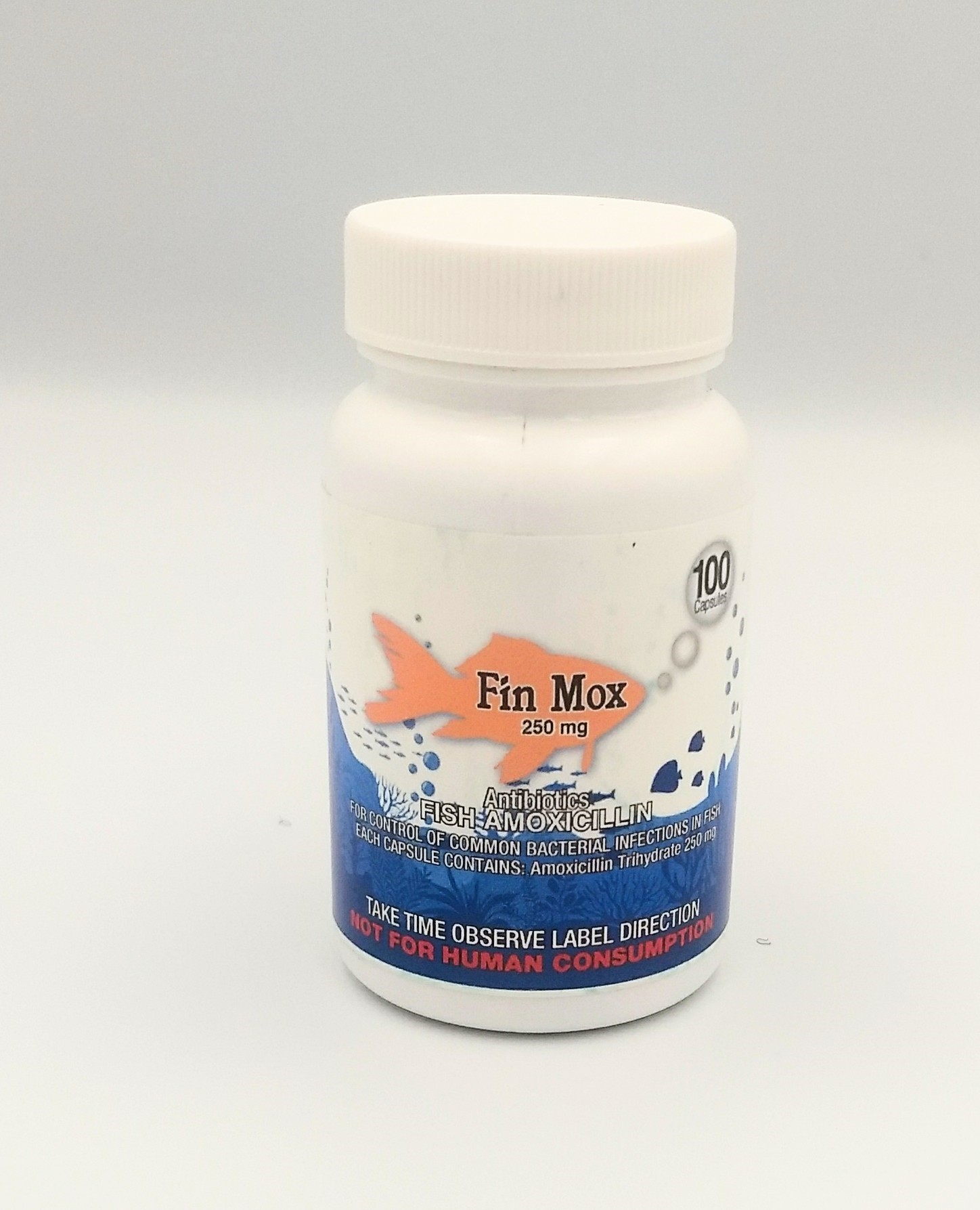 Fish Mox Forte Amoxicillin 500MG 30CT