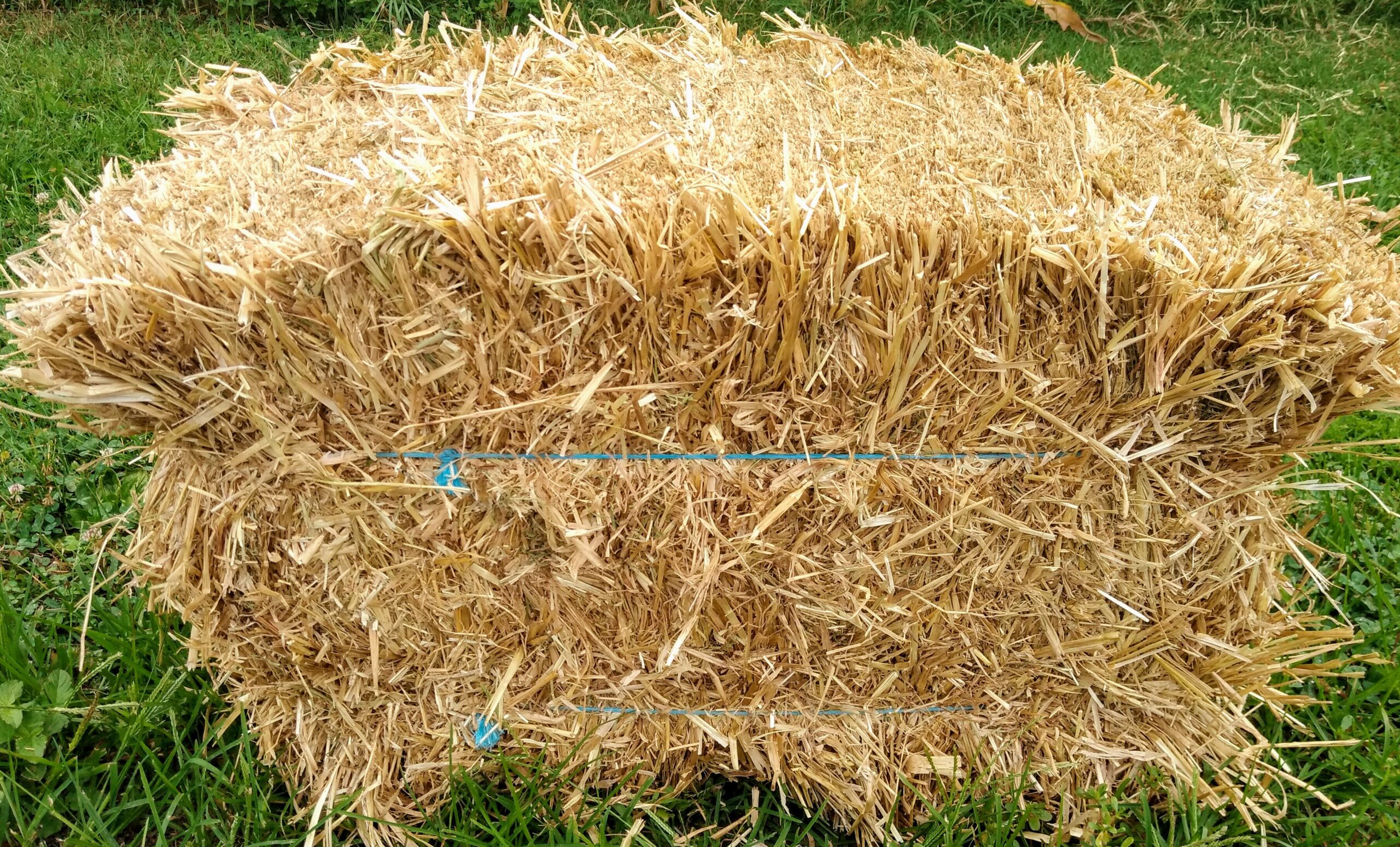 Straw Bale