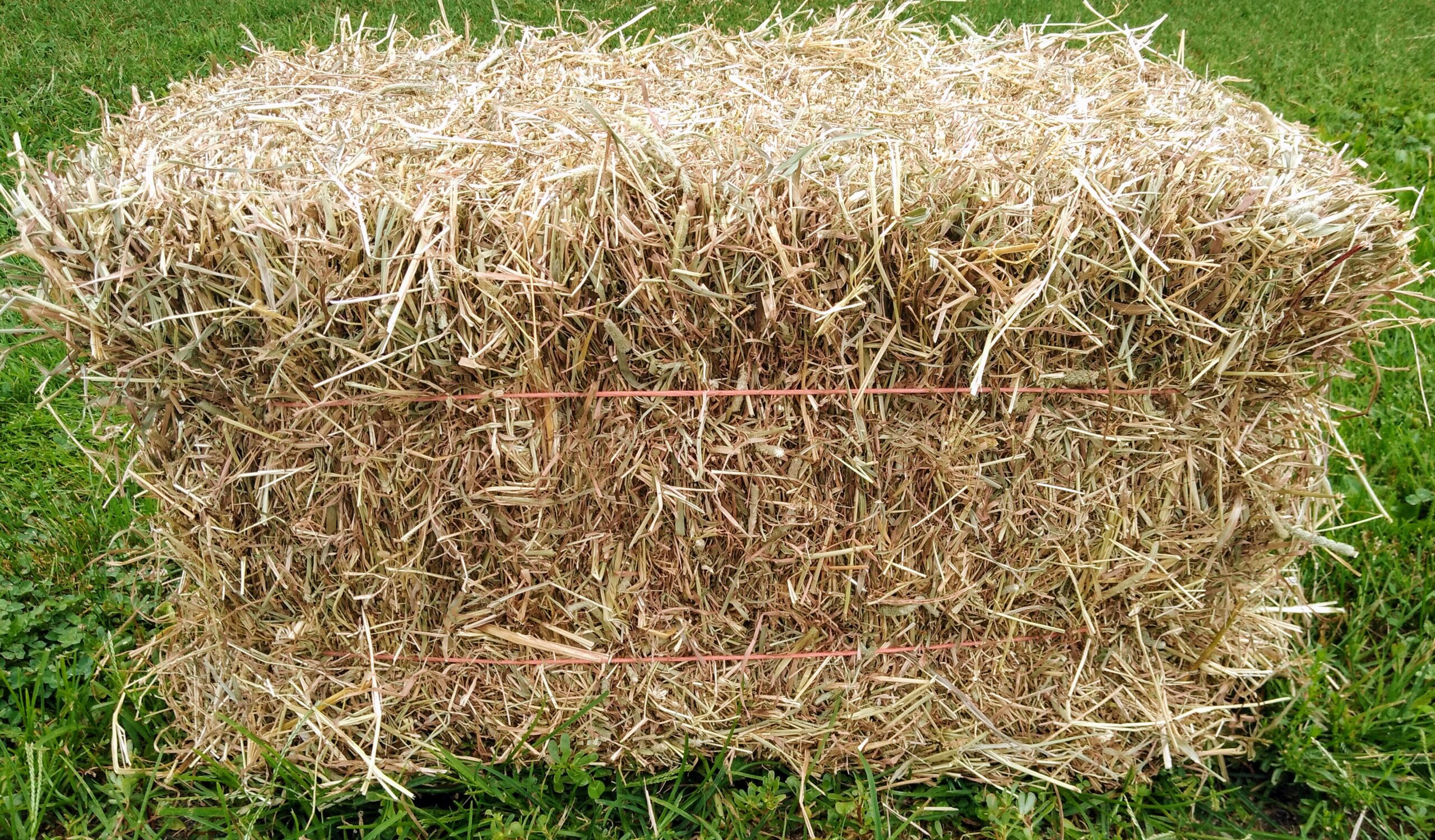 Hay Bale